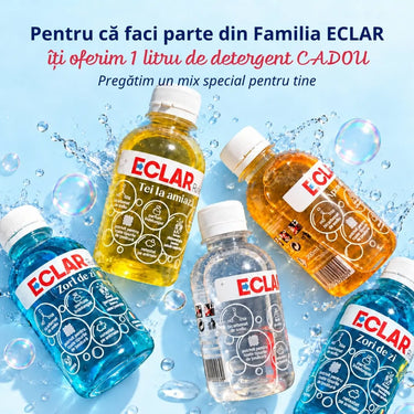 ECLAR 1L Detergent Familia Eclar
